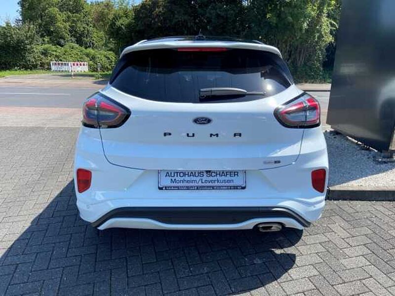 Ford Puma Titanium X ACC SHZ LenkradHZG Klimaautom Apple CarPlay Rückfahrkam. Panorama dig