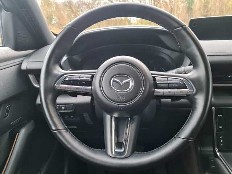 Mazda MX-30 8-fach bereift Bose 360° Navi Memory Sitze  LED Blendfreies Fernl.